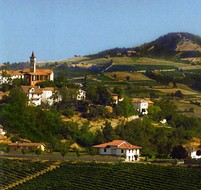 Colli Tortonesi